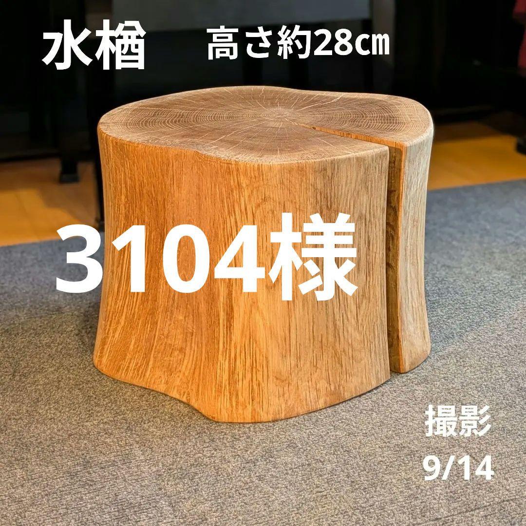 3104　　ミズナラ　水楢　天然木　切り株　丸太　輪切り　高さ約28㎝ 皮無し桧丸太の輪切り 直径10cm前後 厚み1cm | ”山地直送” 自然木