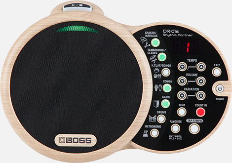 BOSS - DR-01S | Rhythm Partner